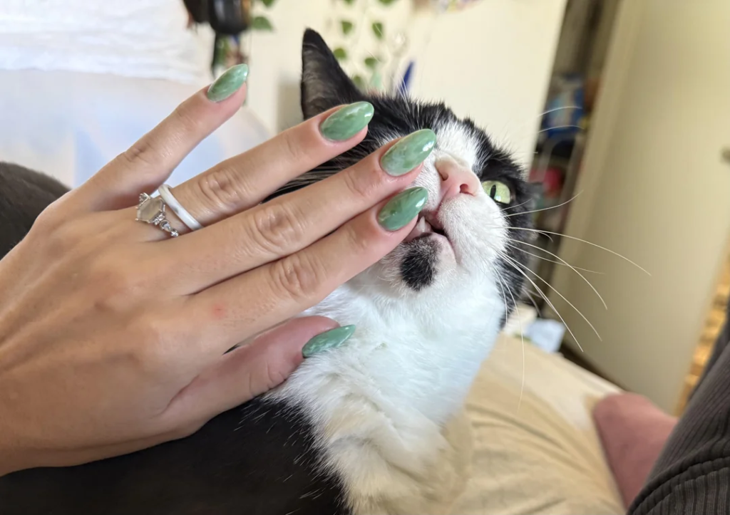 Jade Nails: Elegant Green Nail Designs, Meaning, Trends & Manicure Ideas (2026 Guide) 4 Modern Jade Nail Designs